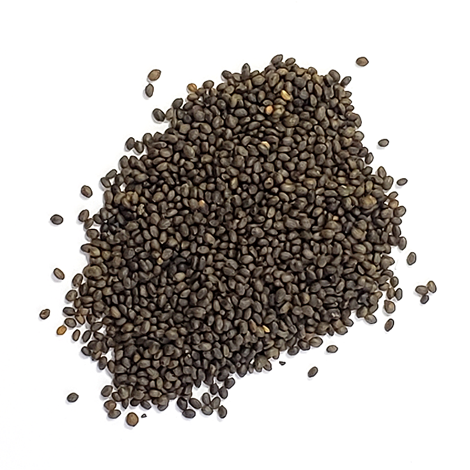 Heirloom summer savory seeds on a white surface