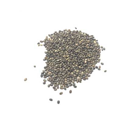 Pile of Common sage seeds scattered on a pristine white surface