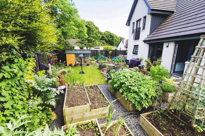 What Is Homestead Gardening