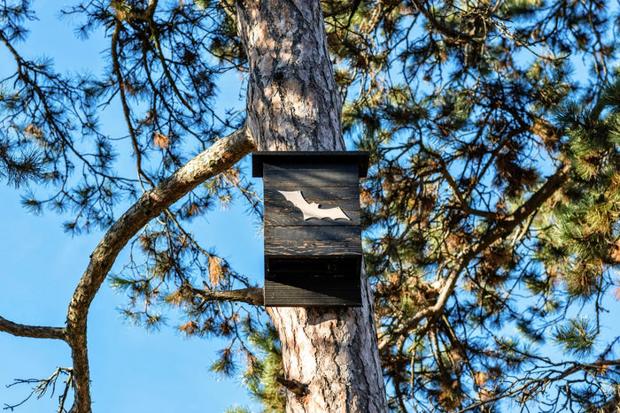Bat Houses