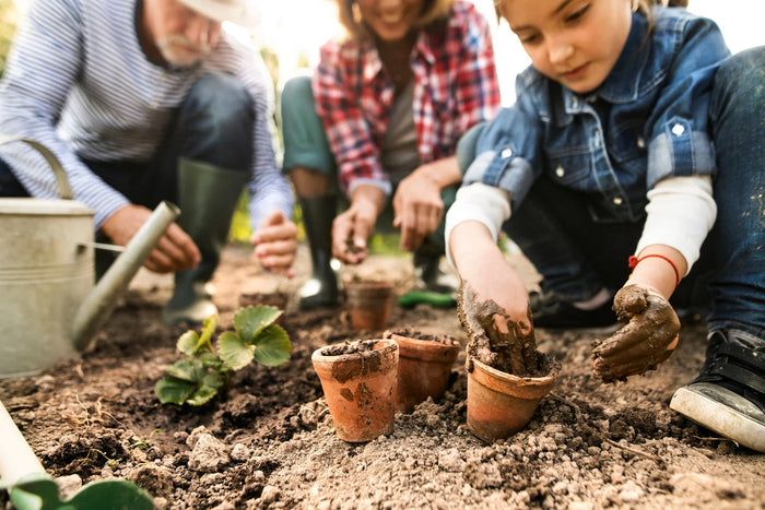 Three people taking plants from pots to a garden