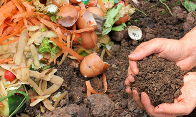 Composting for Survival Gardening: Turning Waste into Fertilizer