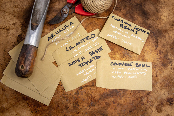 Heirloom seeds in custom labeled packets being packaged