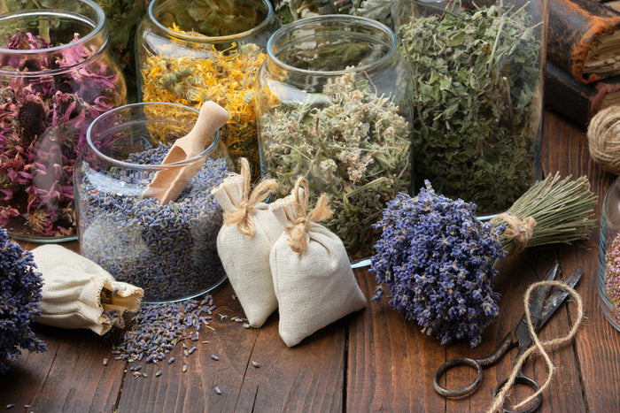 Medicinal Herbs