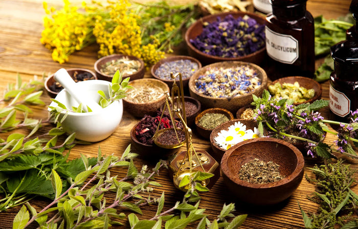 Herbs in bowls in an apothecary on a wooden table