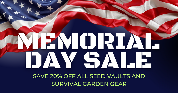 Memorial Day Sale Graphic