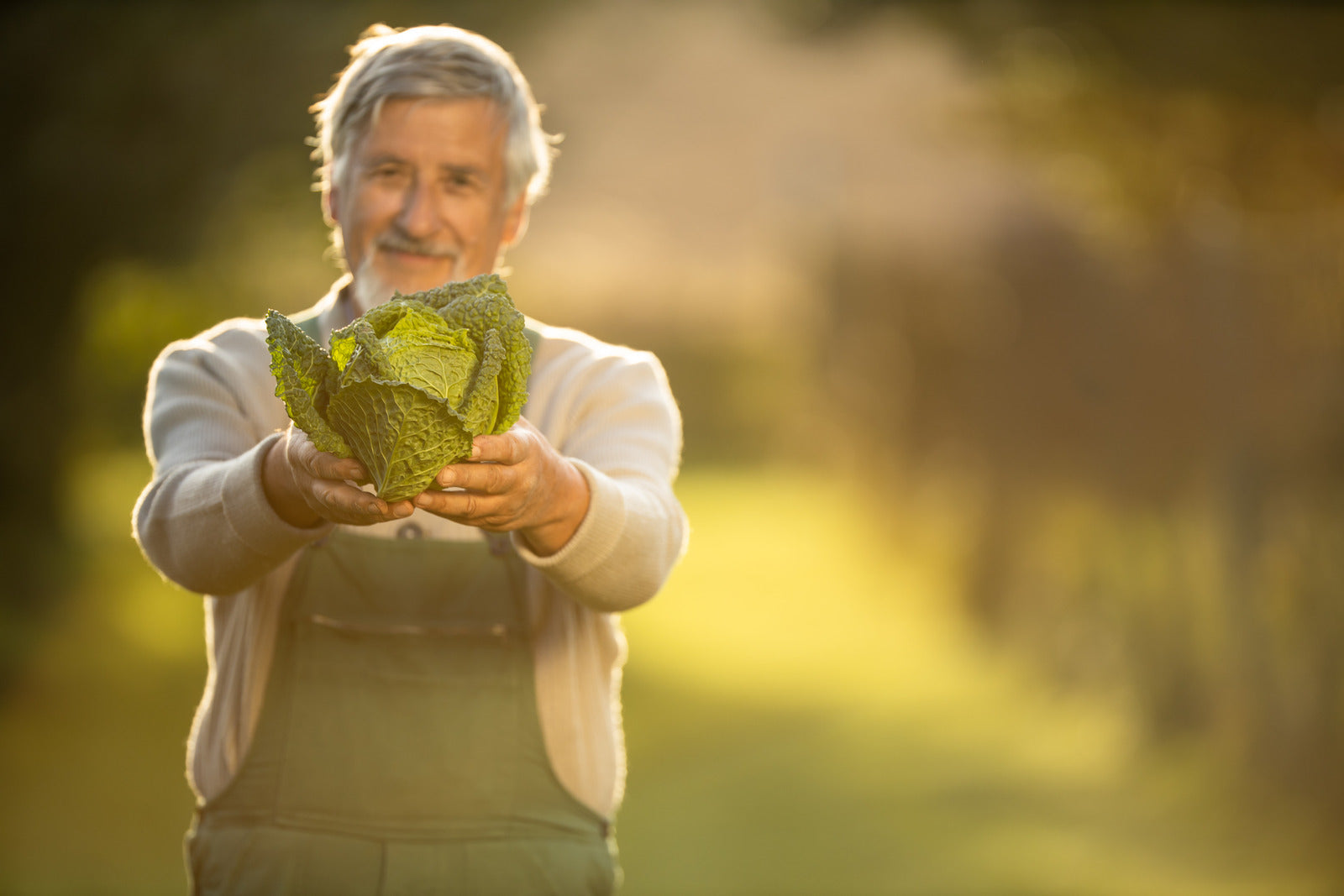 A man holding up a head of cabbage