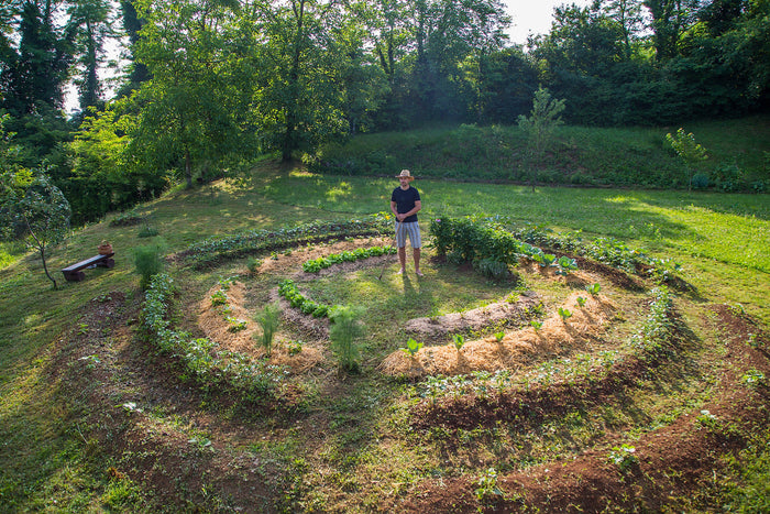 Permaculture Principle