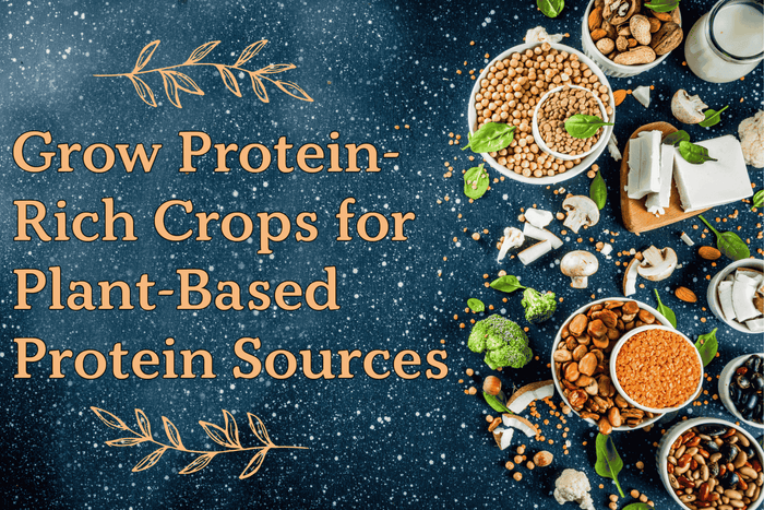 Title of blog post with many plant based protein options on a blue surface