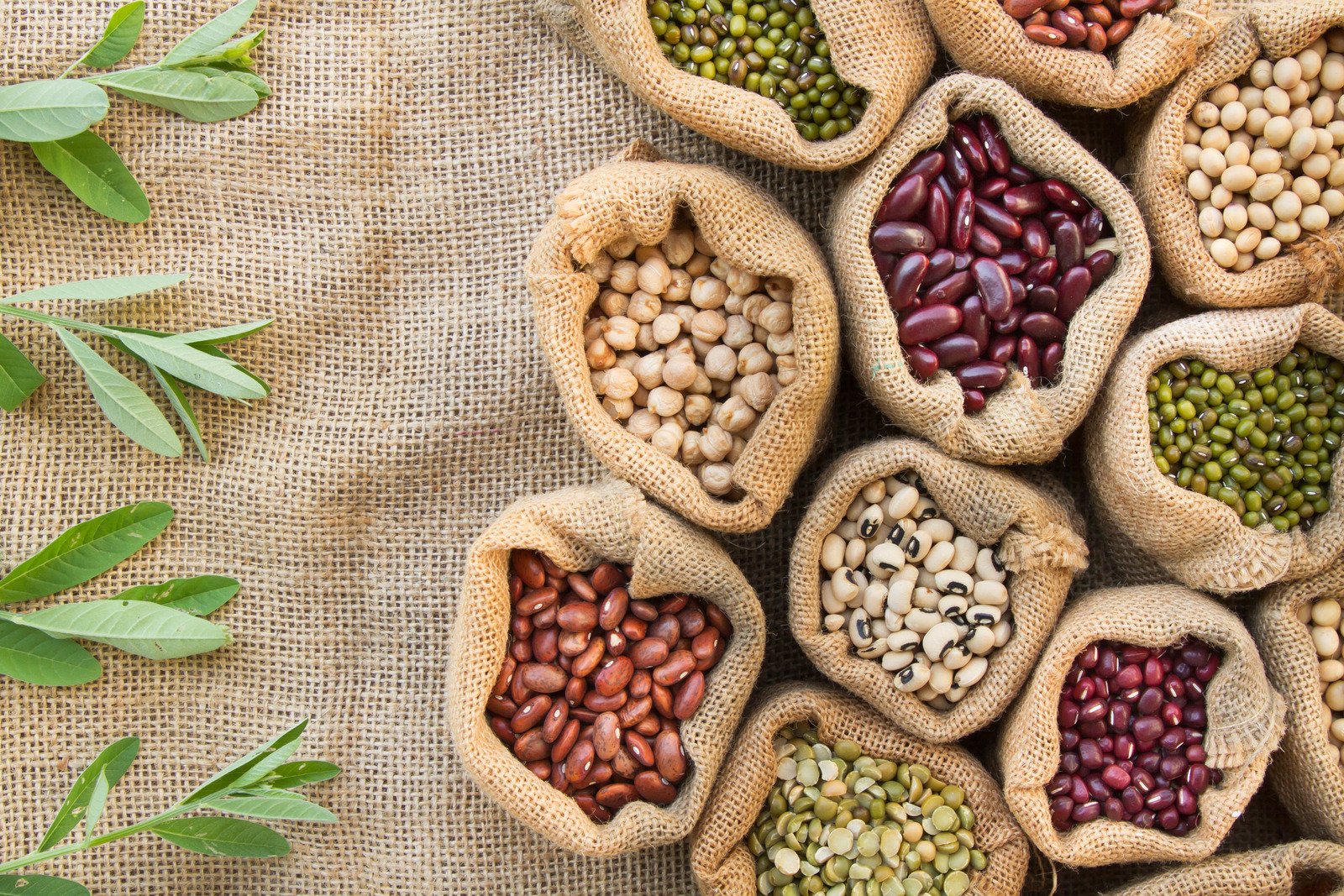 Unlocking the Secrets of Seed Longevity: How to Store Seeds for Specific Seasons