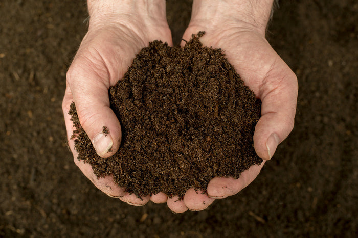 Soil being held in two hands