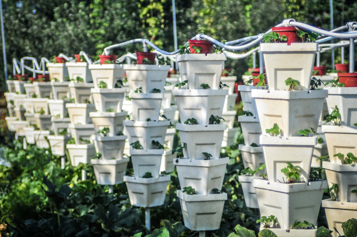 A vertical hydroponic garden