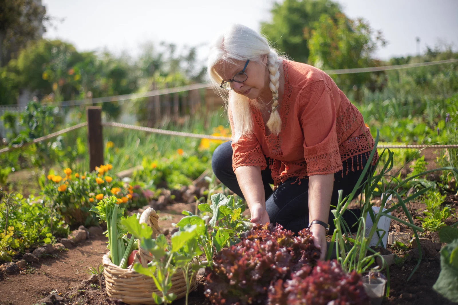 Cultivate Resilience with Heirloom Seed Vegetables