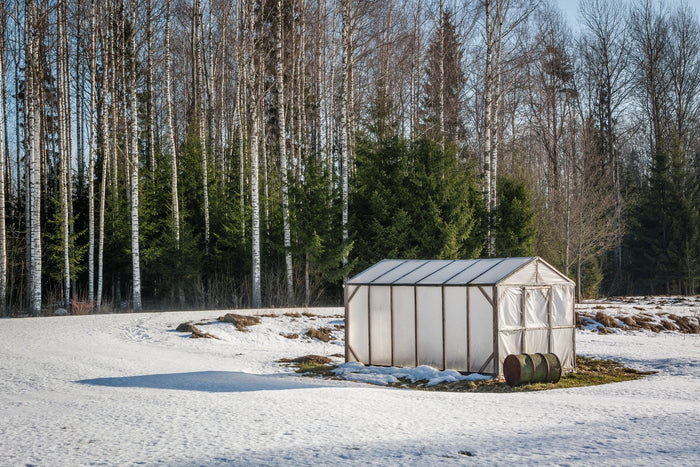 Growing Food Year-Round: Tips for Winter Gardening