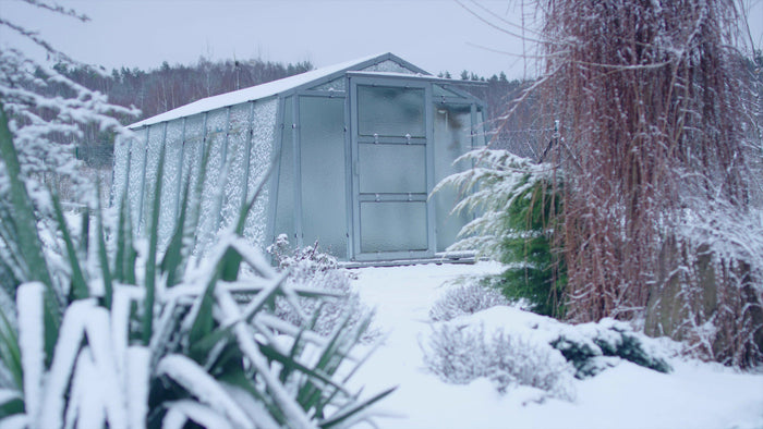 Winter Greenhouse Garden