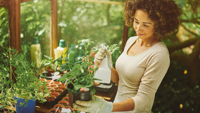 Seed Armory Seed Vaults Self Sufficient Survival Garden