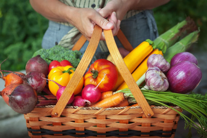 A basket full of heirloom vegetables