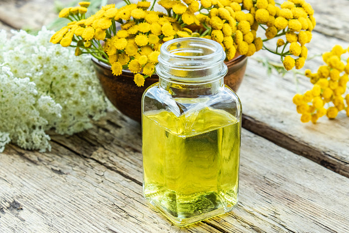 Using Yarrow for Medicine