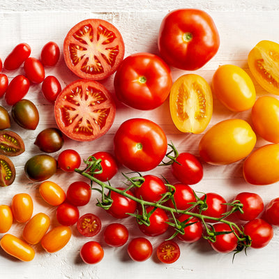 Tomato Seed Varieties