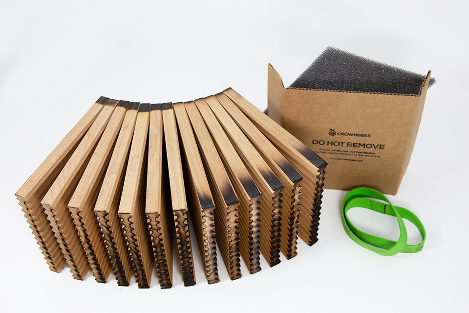 Unbundled large 6mm wooden leafcutter bee trays with green rubber bands