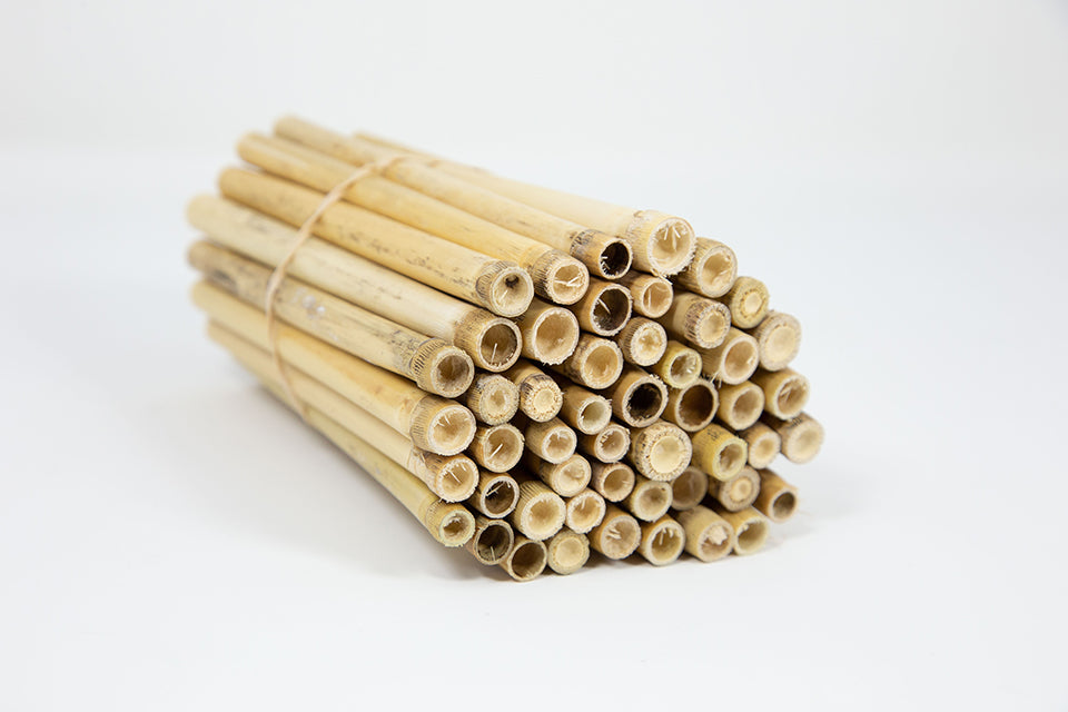Stacks of 8mm Spring Natural Reeds for Mason Bees on a white surface