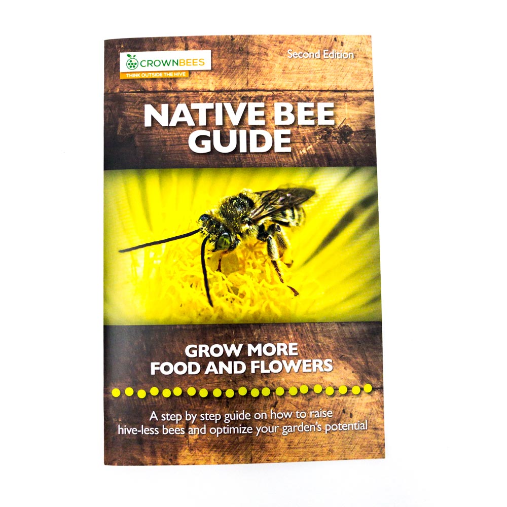 Instructional booklet on native bees and how to support them with home gardens