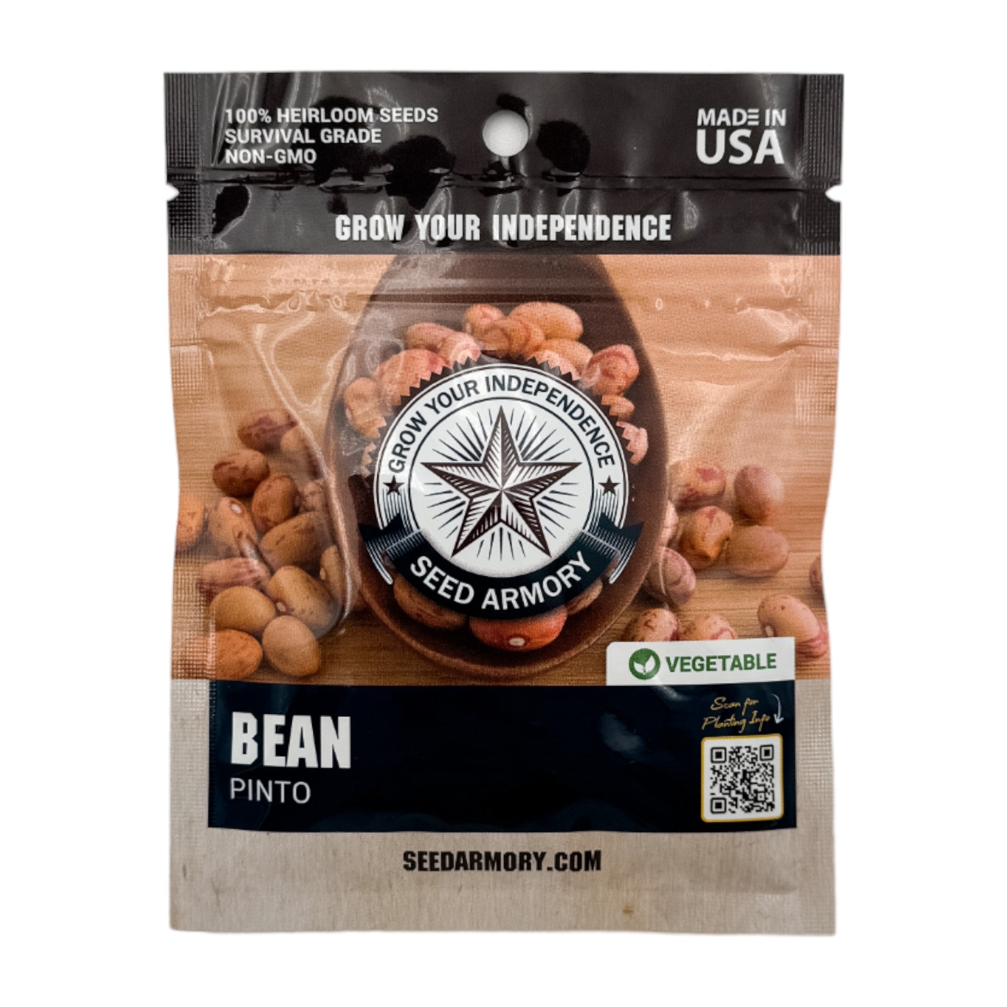 Bean Heirloom Seeds - Pinto