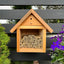 Close-up of a Mason Bee house featuring Spring Natural Reeds