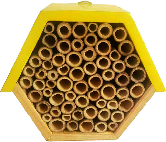 All Natural Beneficial Bug and Bee House Habitat