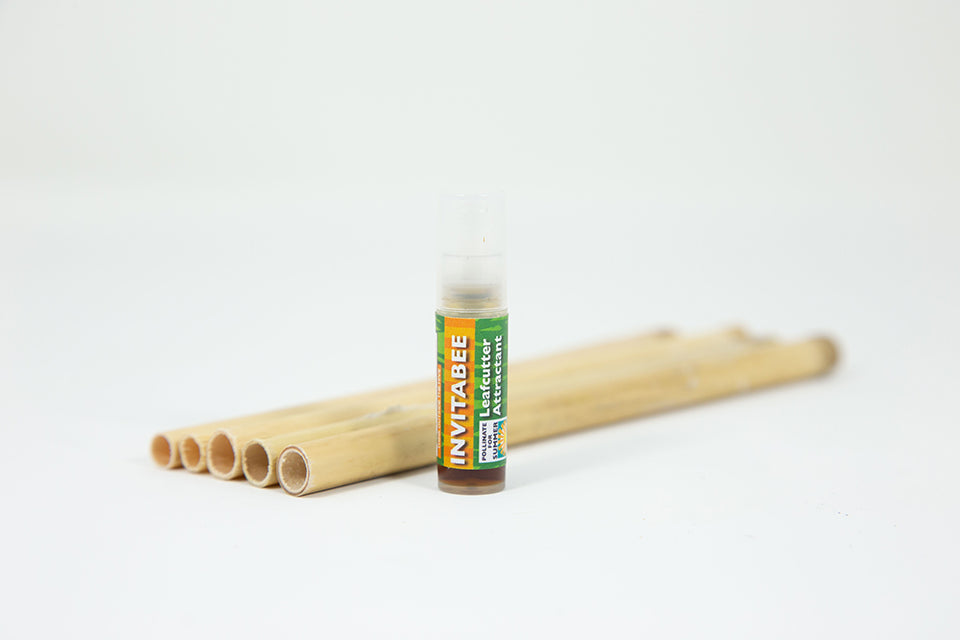 A bottle of InvitaBee Leafcutter Bee Attractant next to a wooden applicator