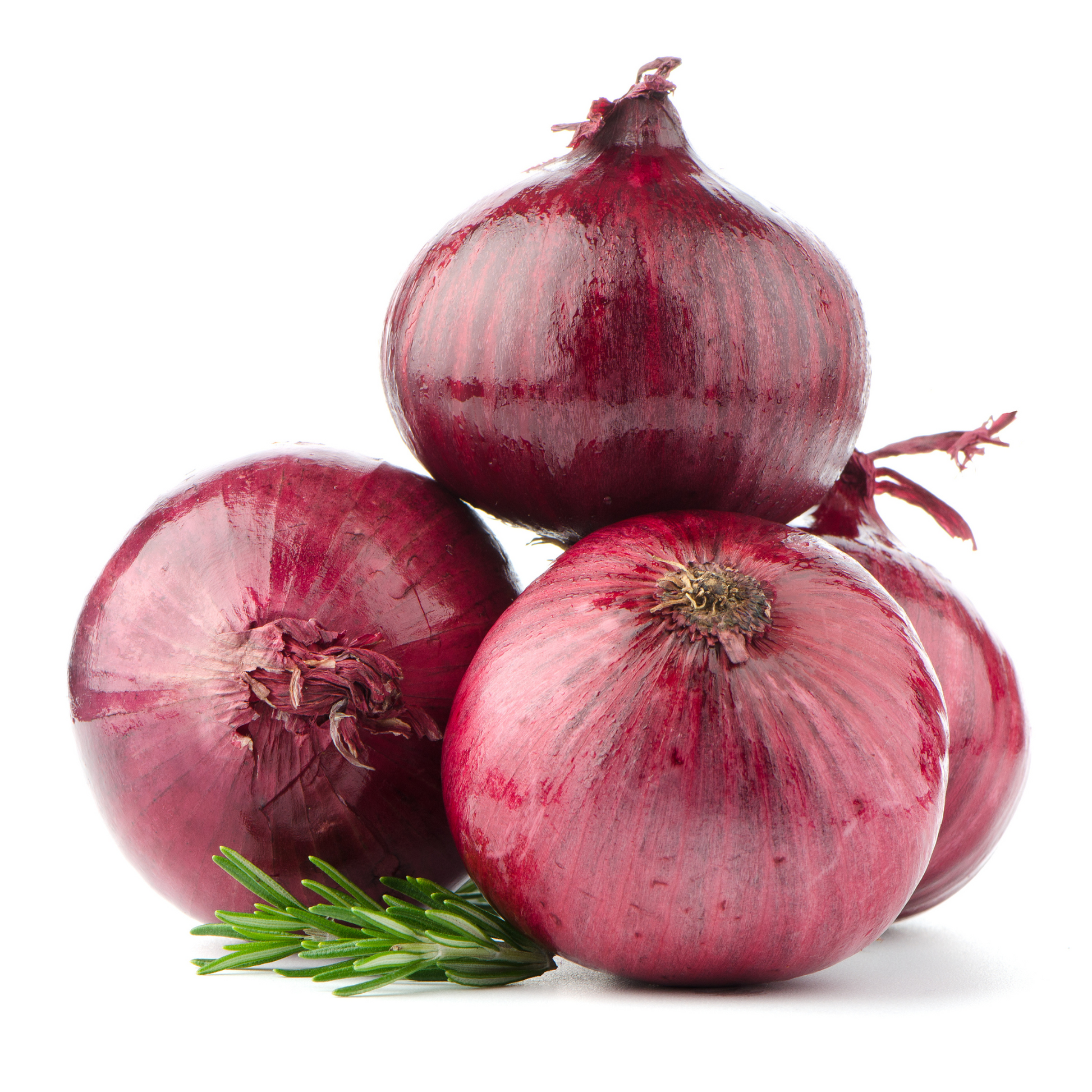 Three Red Burgundy onions grouped together on a white background