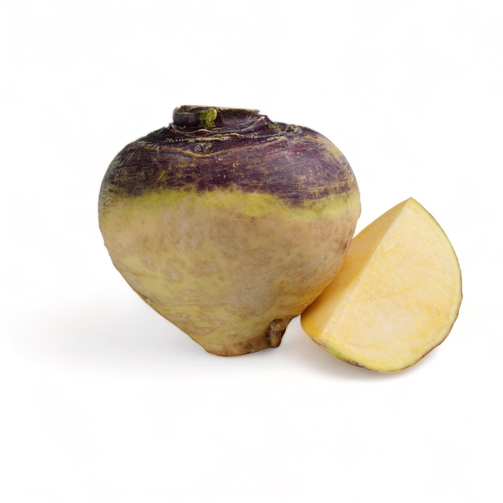 Fully grown bulb of American Purple Top Rutabaga whole and sliced on a surface