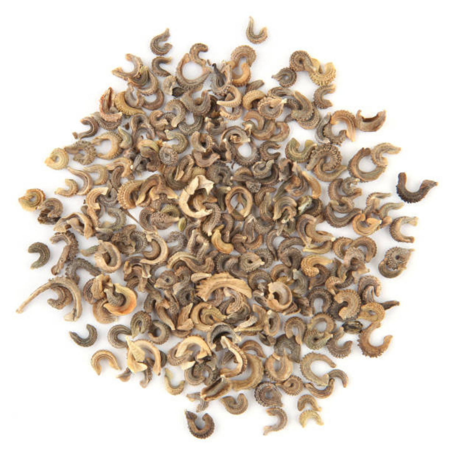 Close-up of 'Pacific Beauty' Calendula seeds scattered on a white background