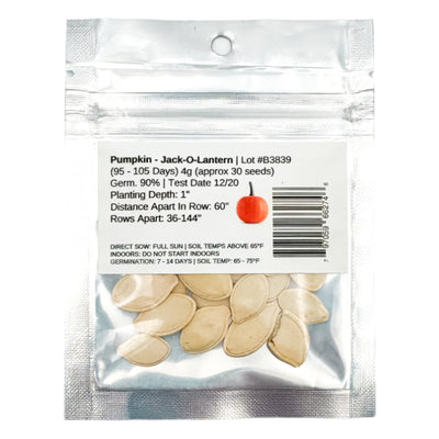 Reverse packet of Heirloom Jack-O-Lantern pumpkin seeds with planting instructions