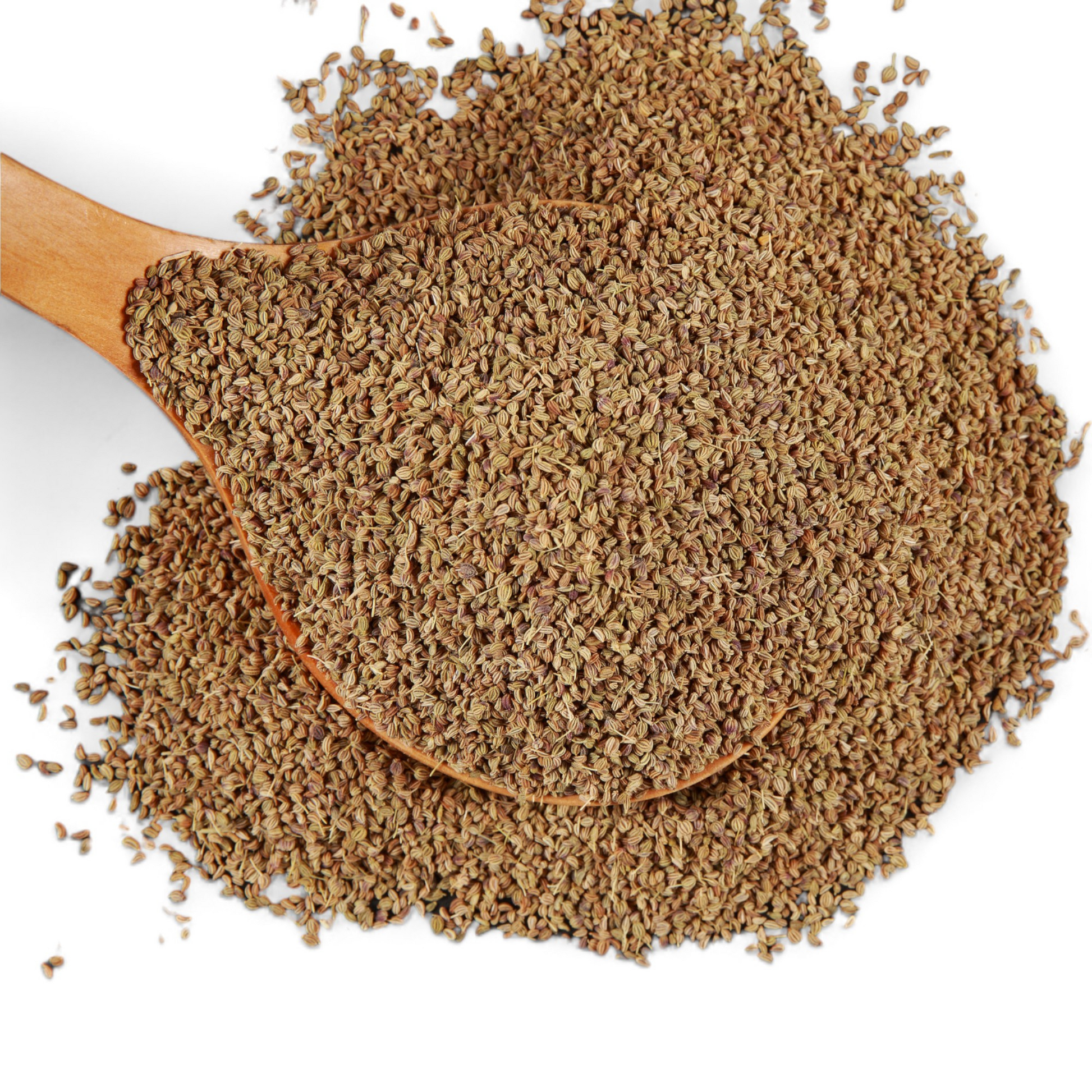 thyme plant seeds Thyme - Common | Mylar Packaged