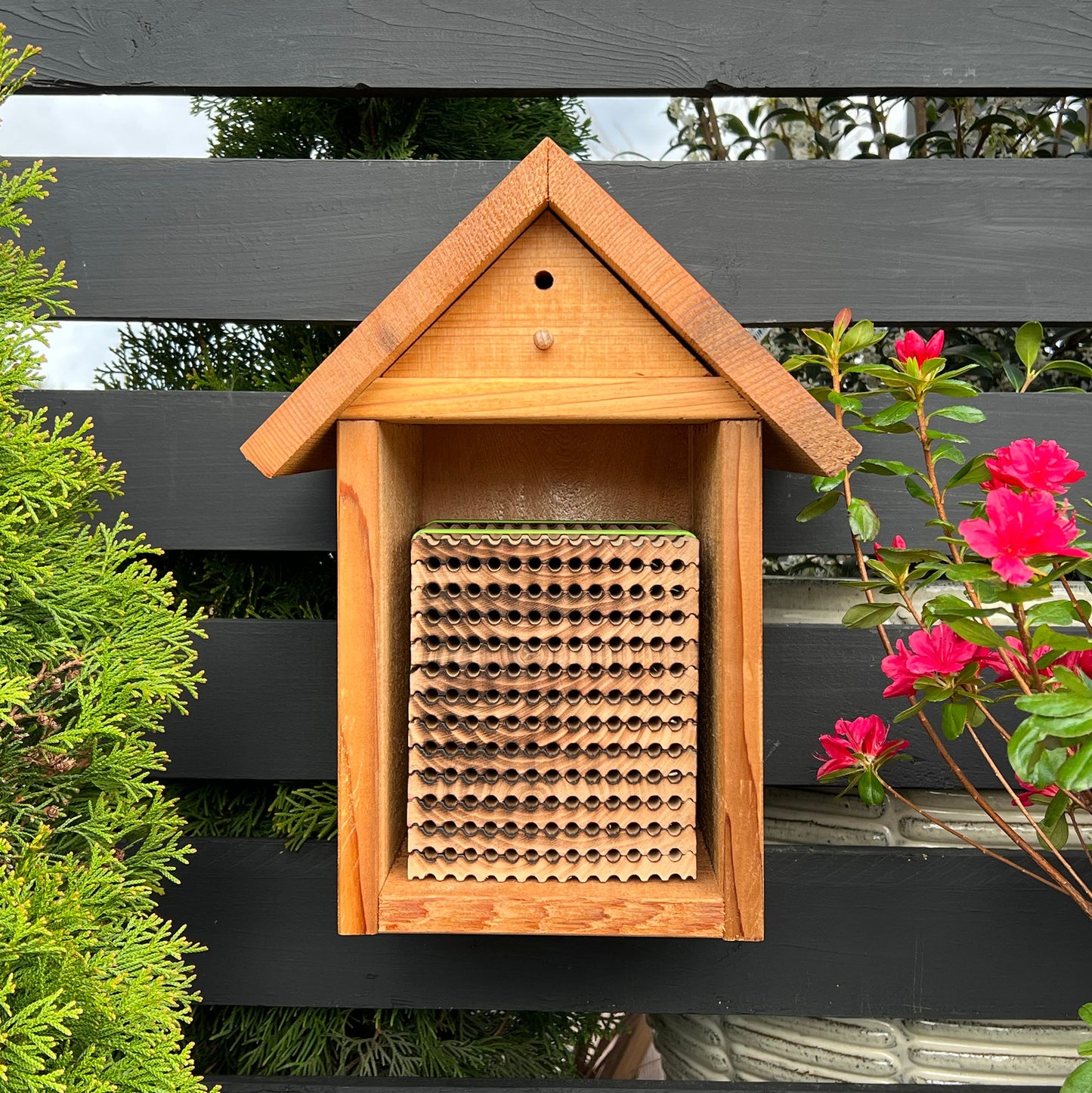 Leafcutter bee wooden house with large bundle of reusable wood trays