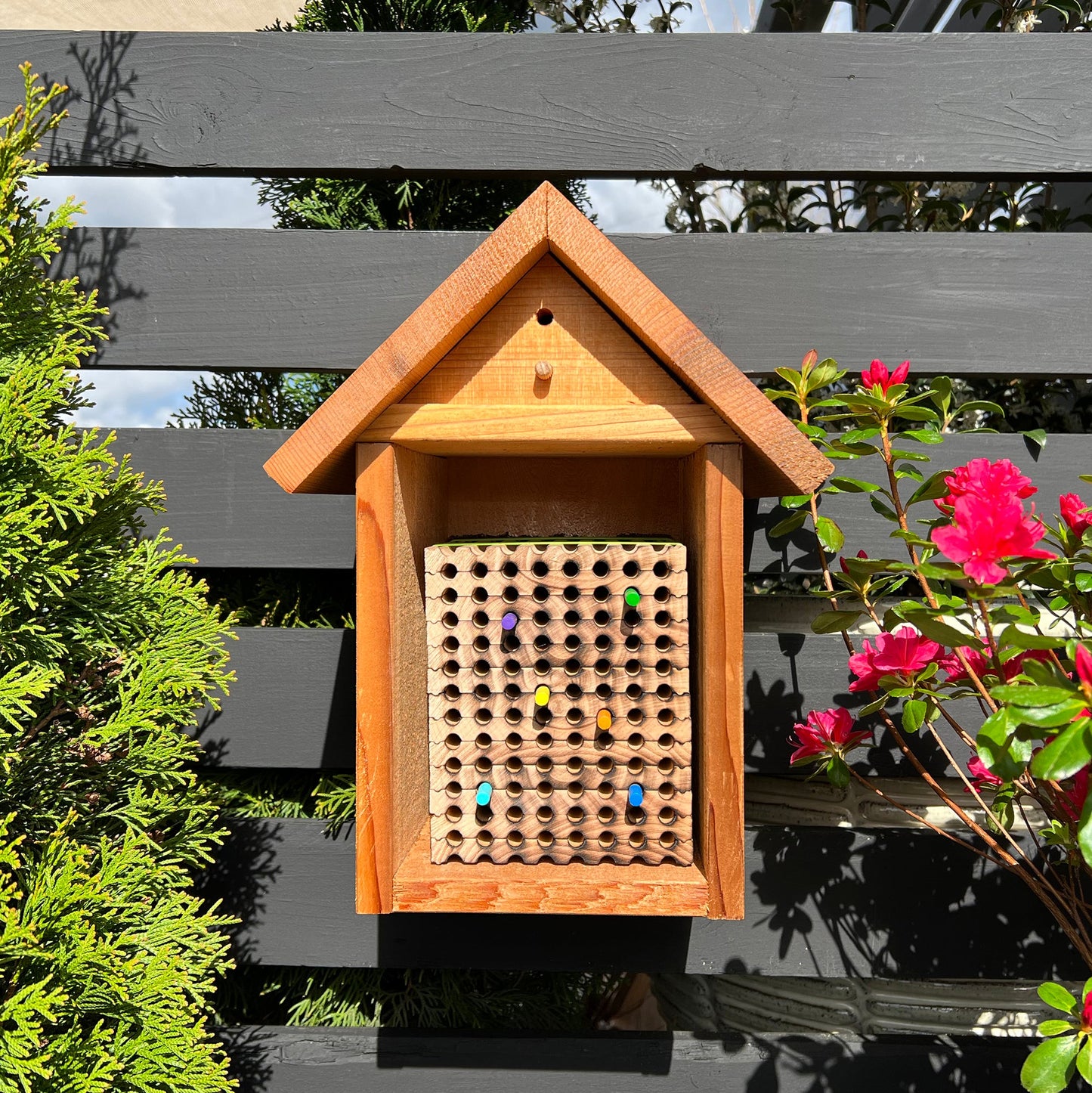 Front view of a wooden mason bee house with 8mm reusable wood tray inside
