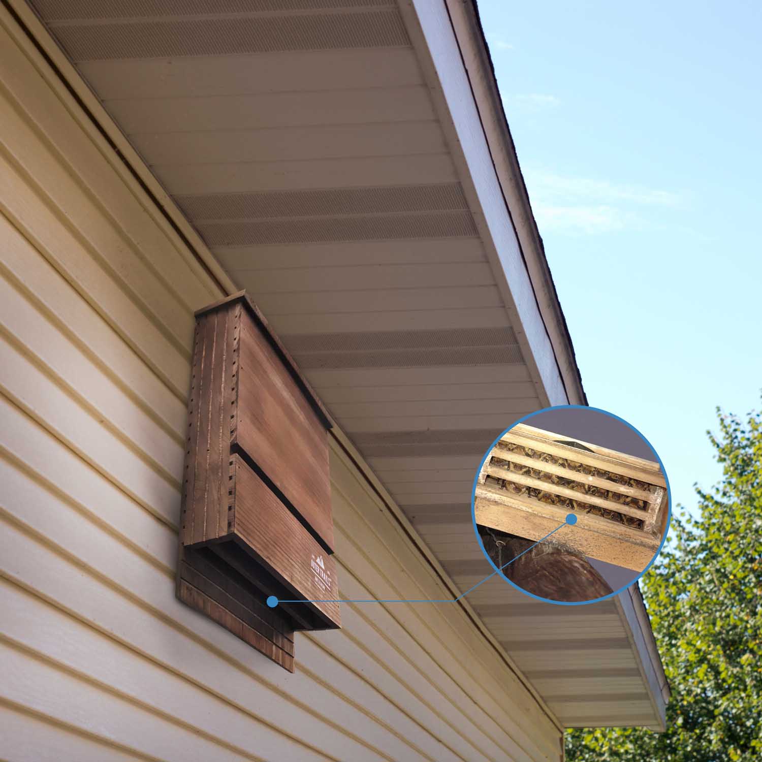 Side view of Outer Trails™ Multi Chamber Bat House mounted on a house with roost cavity displayed