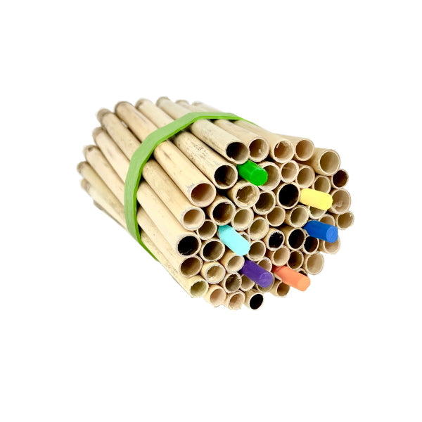 Mason Bee 8mm Spring Natural Reeds marked with colored bands for identification