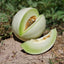 Cut heirloom cantaloupe honeydew showing green flesh on a natural surface