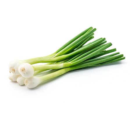 Fresh Evergreen Bunching Nebuka green onions grouped together on a white background