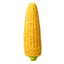 Example of Heirloom Golden Bantam corn stock
