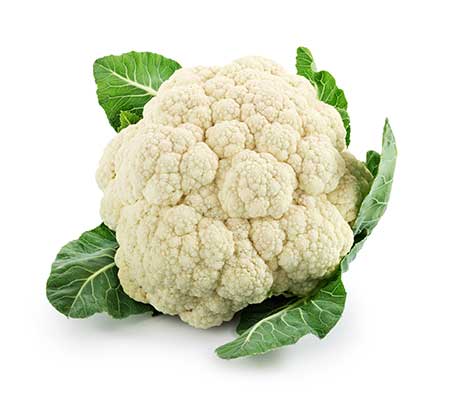 Close-up of Snowball Y Improved cauliflower fully grown phenotype