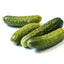 Fresh fully grown Heirloom National Pickling cucumbers on a white background