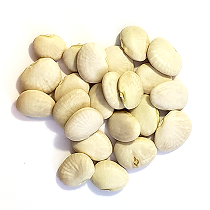 Heirloom Lima Beans (Henderson Variety) scattered on a white background