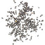 Pile of St. Johns Wort heirloom seeds on a white background