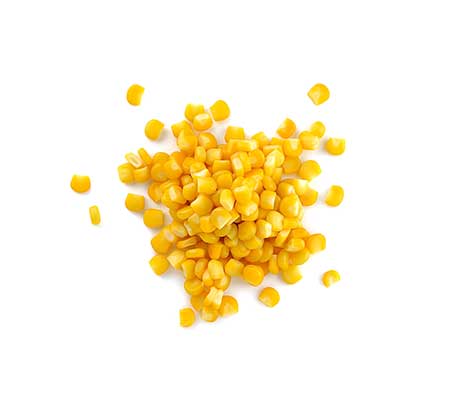 Pile of Heirloom Golden Bantam corn seeds against a white background