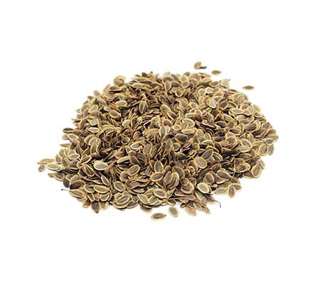 Pile of Heirloom Dill Common seeds scattered on a white surface