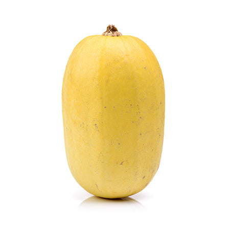 Spaghetti squash fully grown displayed against a white backdrop