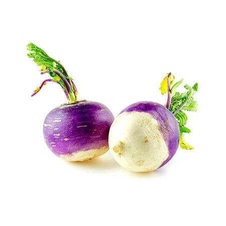 Display of two Purple Top heirloom turnips in packaging on a white surface